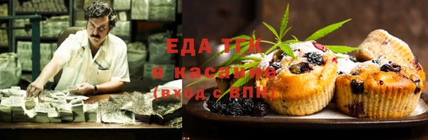 шишки Дмитровск