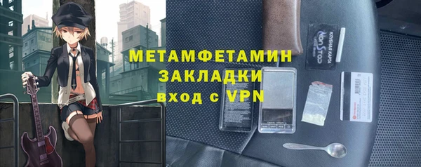 шишки Дмитровск