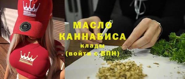 шишки Дмитровск