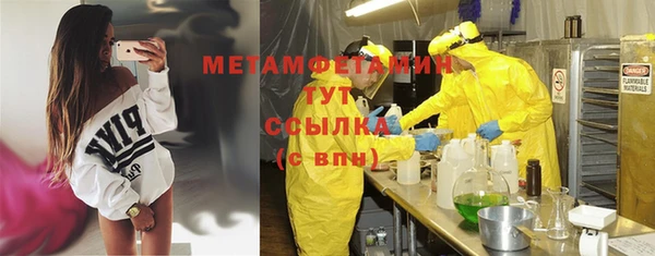 шишки Дмитровск