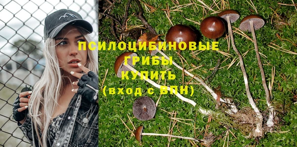 дмт Новокубанск