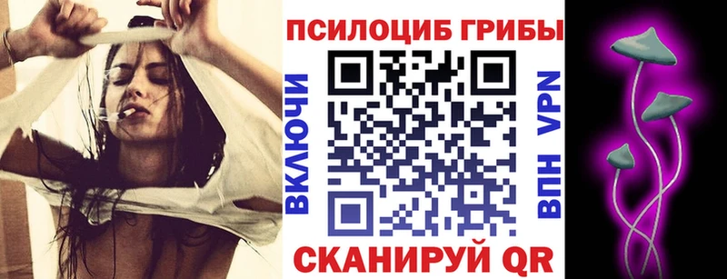 мега зеркало Зеленодольск Псилоцибиновые грибы GOLDEN TEACHER